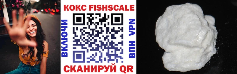 COCAIN Fish Scale  Купить закладки  Бирск 