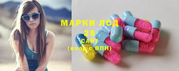 крисы Алексин