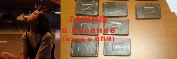 хмурый Арсеньев