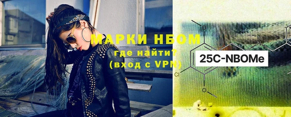 хмурый Арсеньев