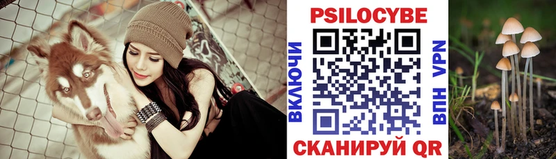 Псилоцибиновые грибы прущие грибы  Купить закладки  Бирск 